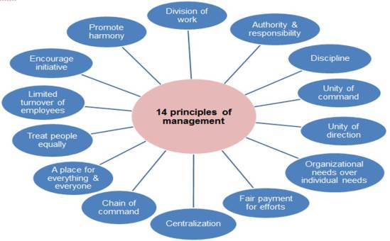 14 principles