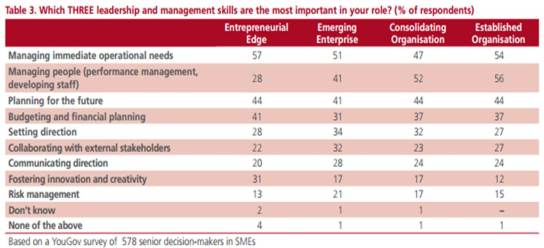 3 leadership skills